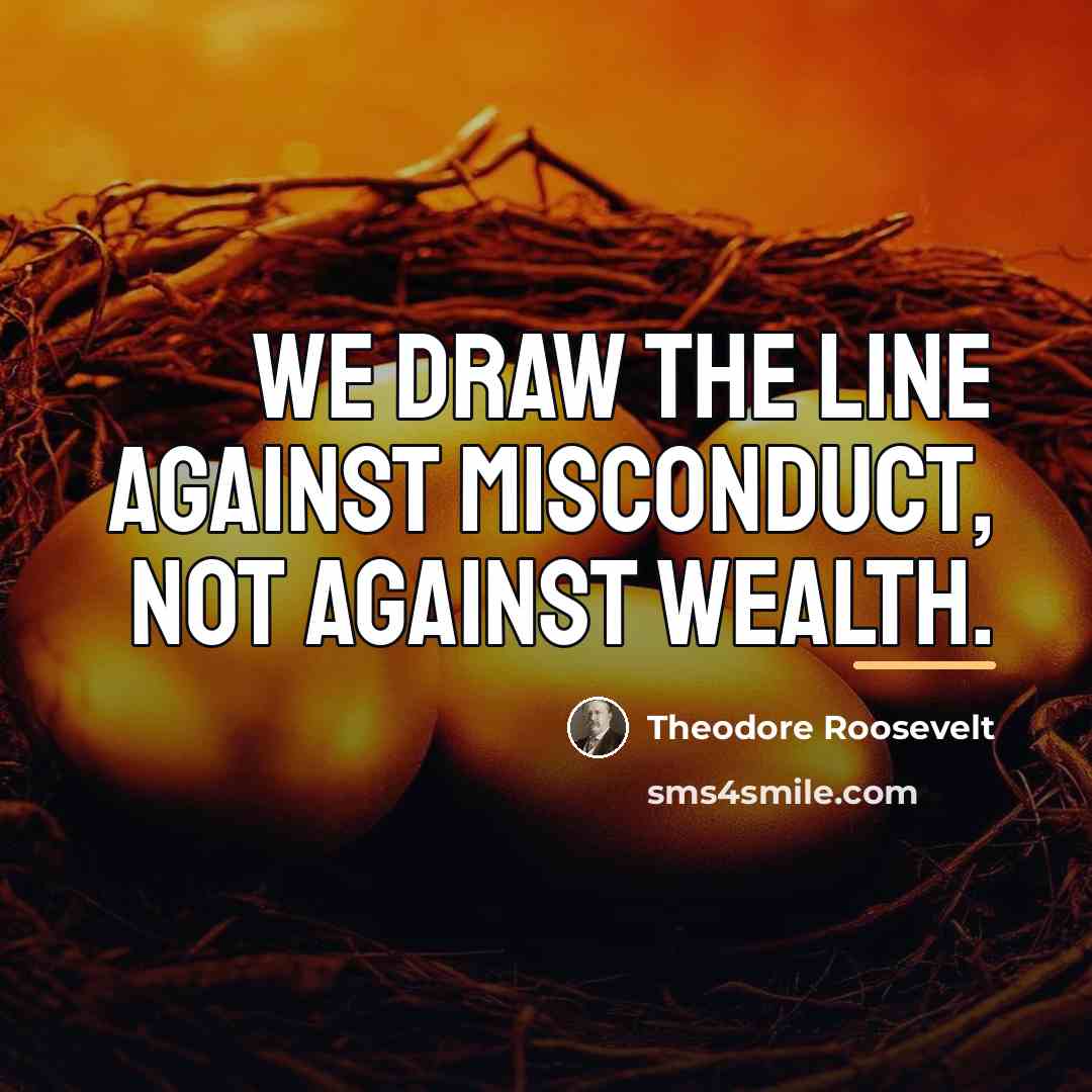 “We draw the line against misconduct, not against wealth.…” quote by Theodore Roosevelt