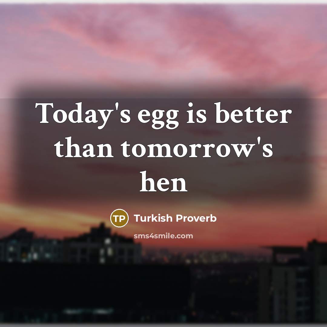 “Today's egg is better than tomorrow's hen…” quote by Turkish Proverb