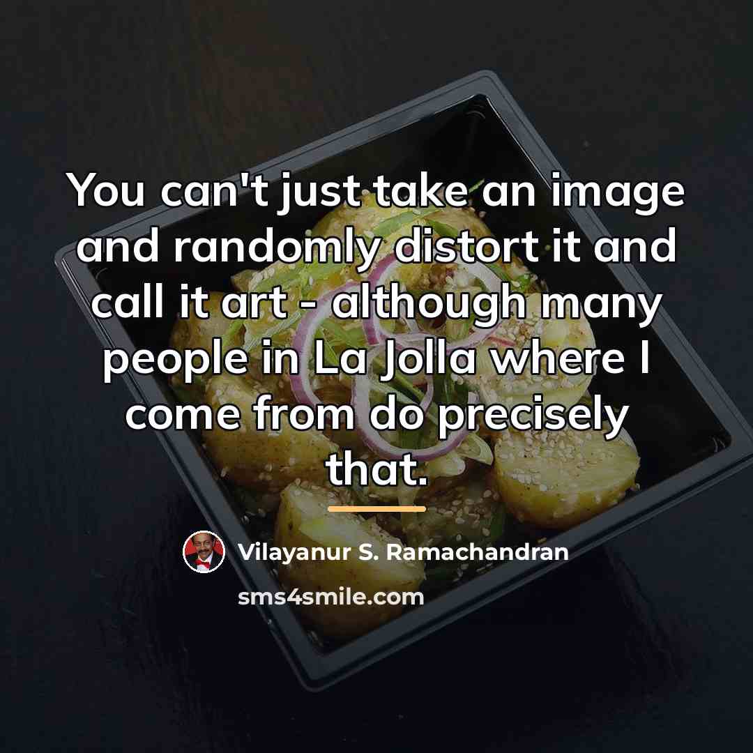 “You can't just take an image and randomly distort it…” quote by Vilayanur S. Ramachandran