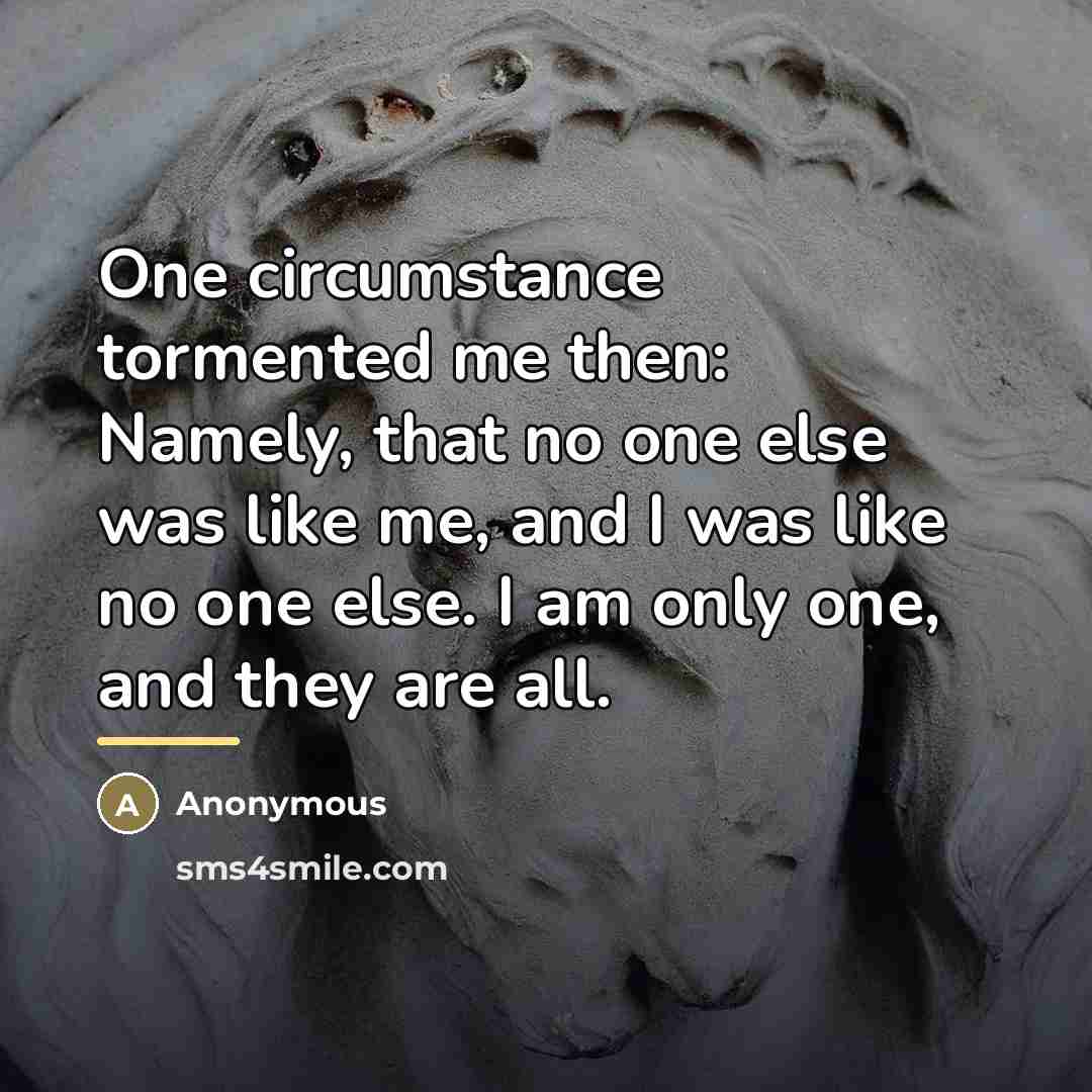 “One circumstance tormented me then: Namely, that no one else…” quote by Anonymous