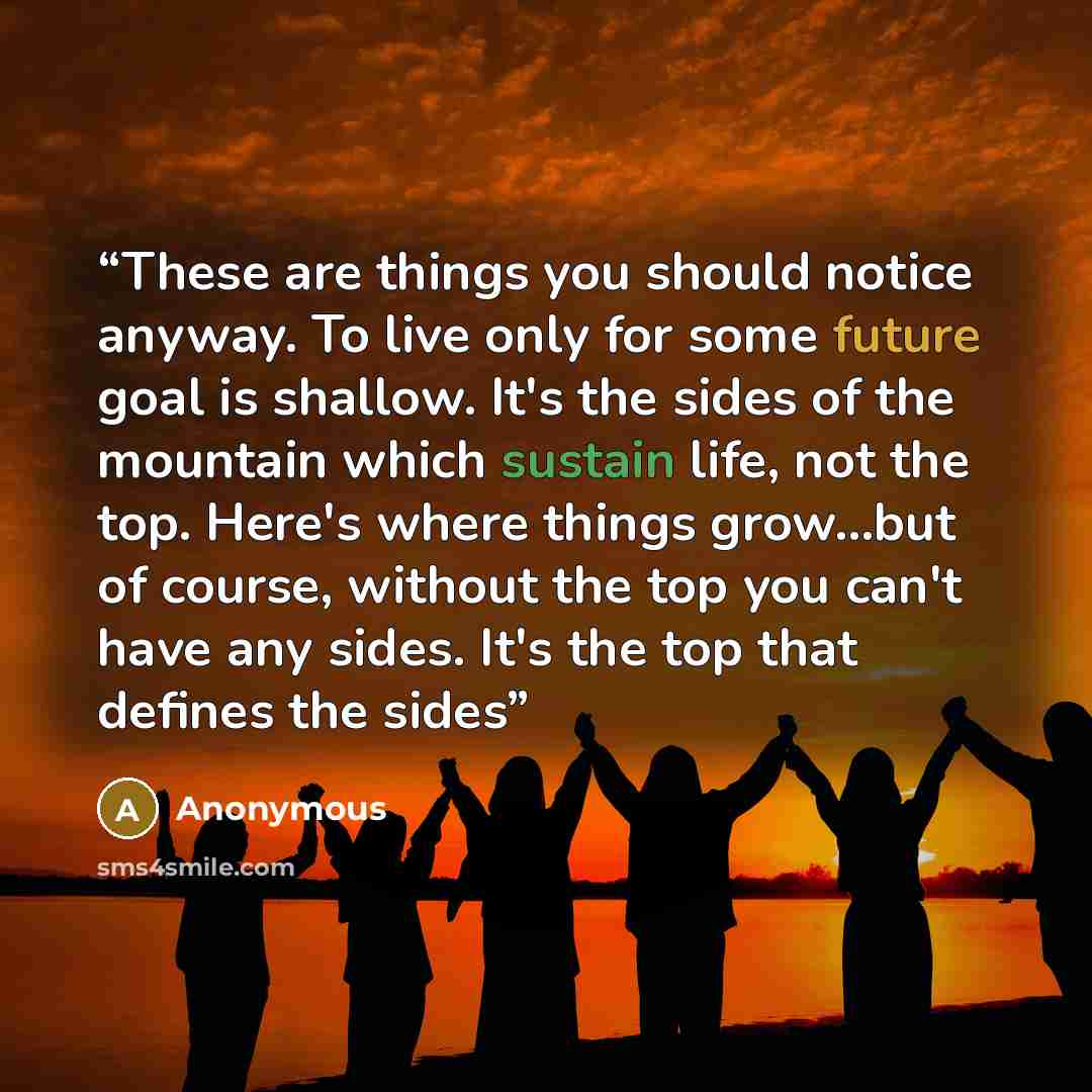 “These are things you should notice anyway. To live only for some future goal is shallow. It's the sides of the mountain which sustain life, not the top. Here's where things grow…but of course, without the top you can't have any sides. It's the top that defines the sides” quote by Anonymous