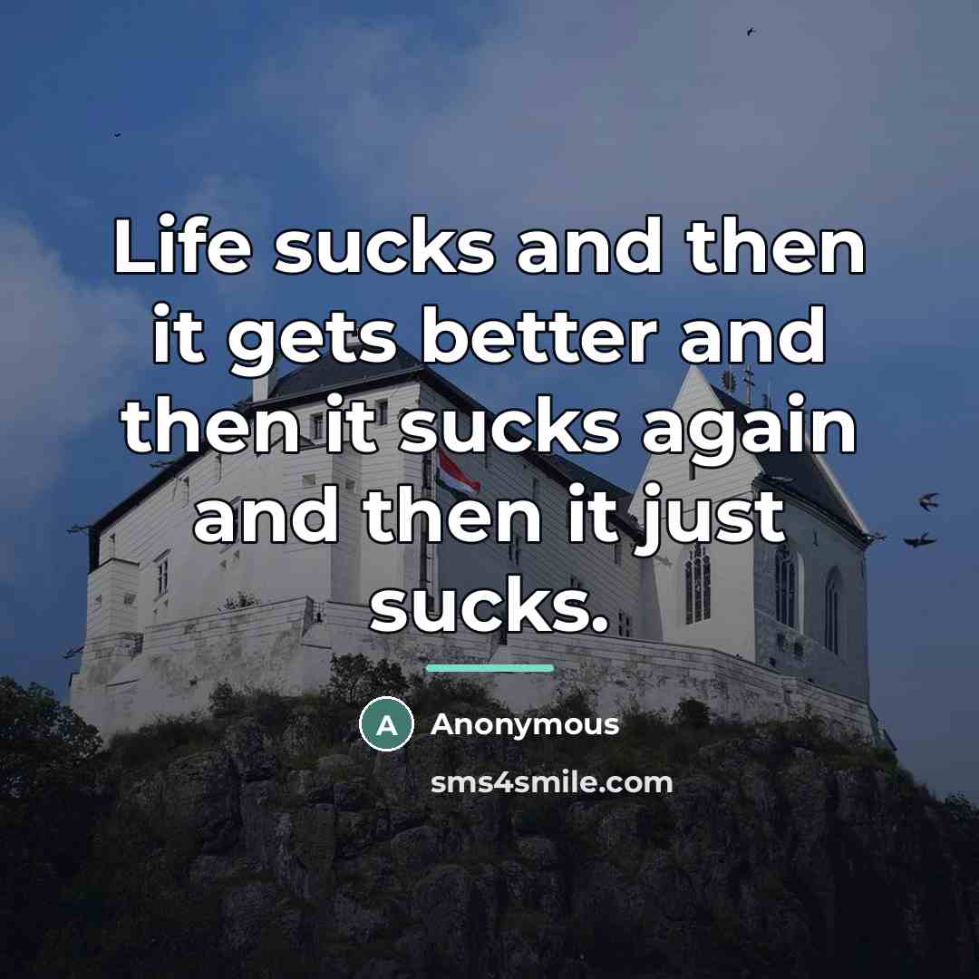 “Life sucks and then it gets better and then it…” quote by Anonymous