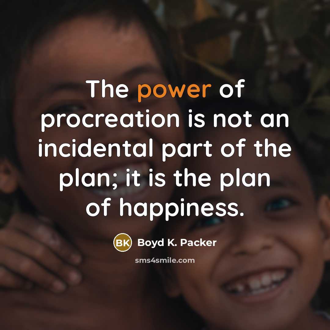 “The power of procreation is not an incidental part of…” quote by Boyd K. Packer