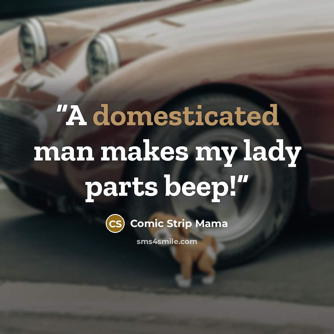 “A domesticated man makes my lady parts beep!” quote by Comic Strip Mama
