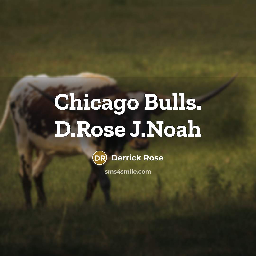 “Chicago Bulls. D.Rose J.Noah” quote by Derrick Rose