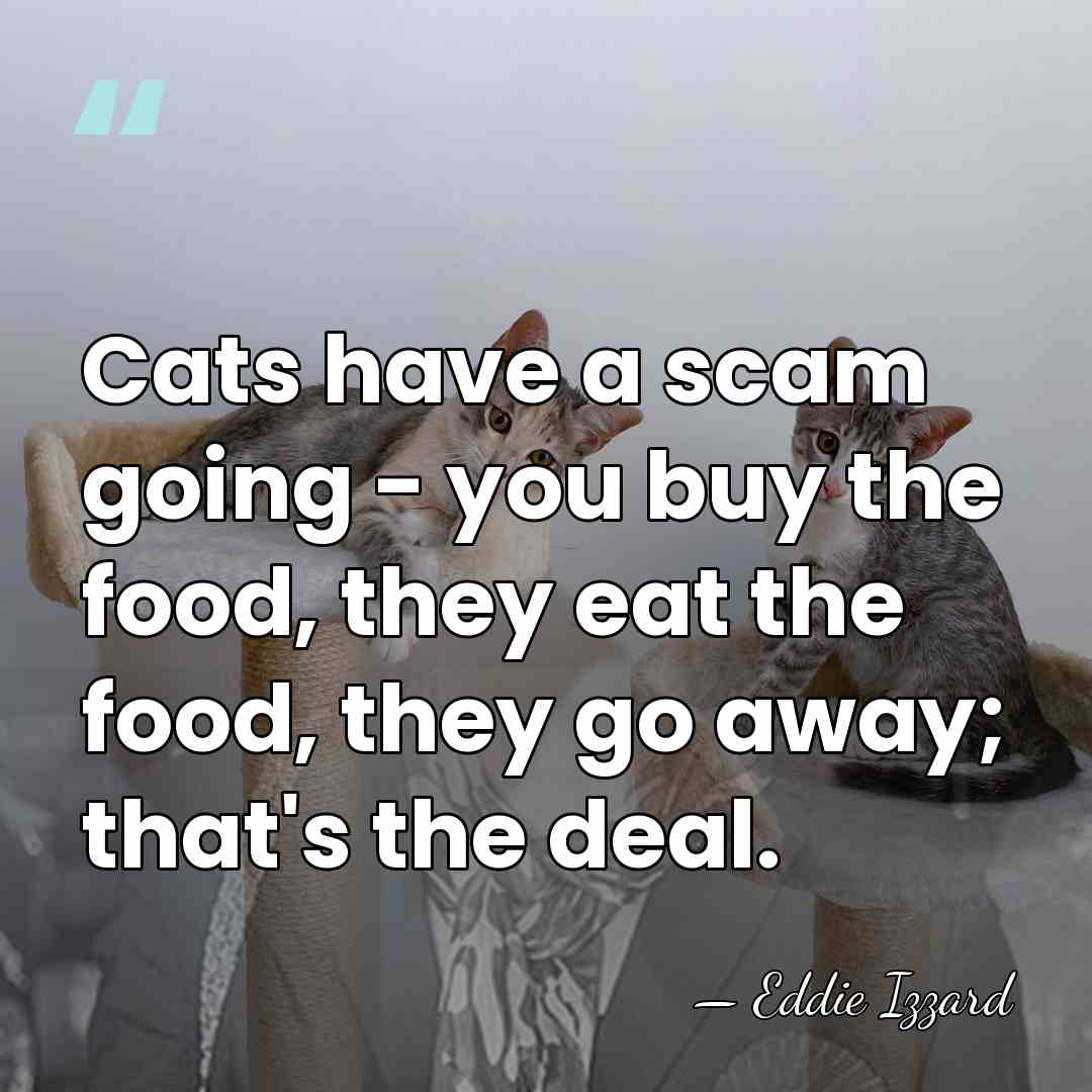 Cats have a scam going - you buy the food, they eat&hellip; - Eddie Izzard