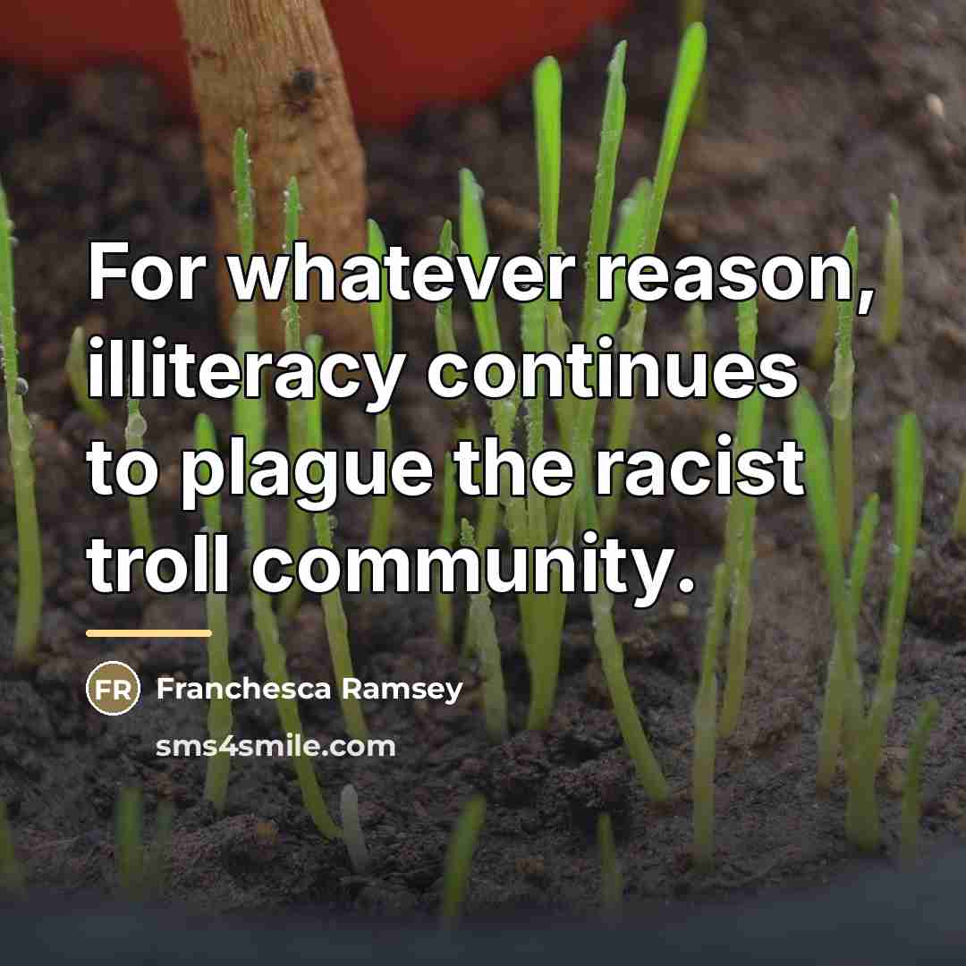 “For whatever reason, illiteracy continues to plague the racist troll…” quote by Franchesca Ramsey