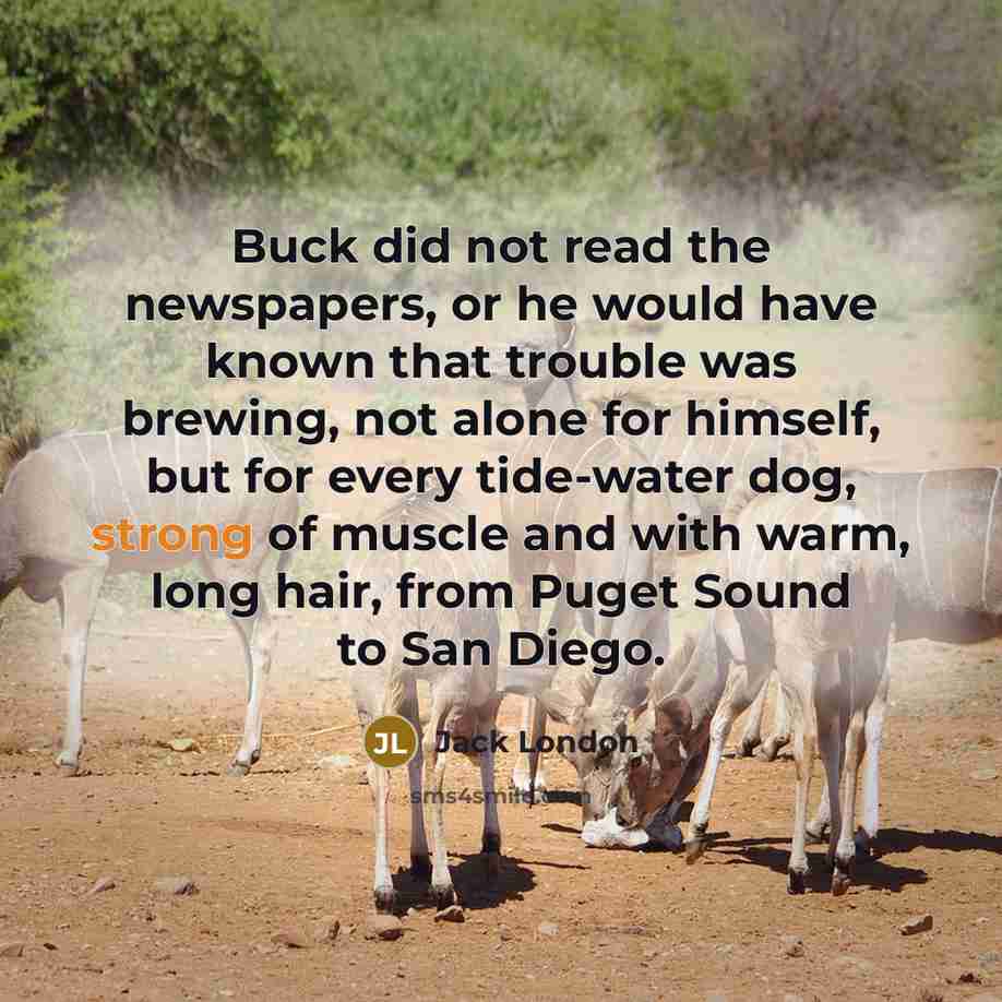 “Buck did not read the newspapers, or he would have…” quote by Jack London
