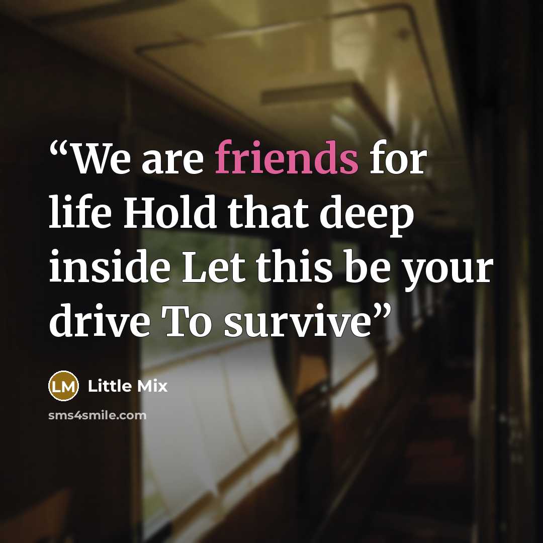 “We are friends for life Hold that deep inside Let this be your drive To survive” quote by Little mix