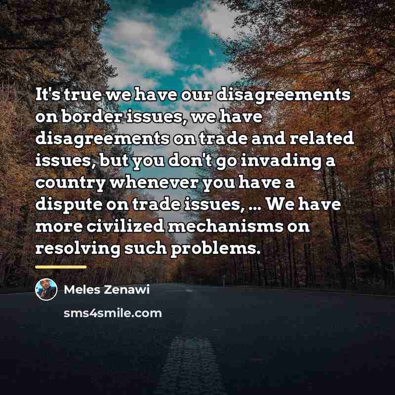 “It's true we have our disagreements on border issues, we…” quote by Meles Zenawi