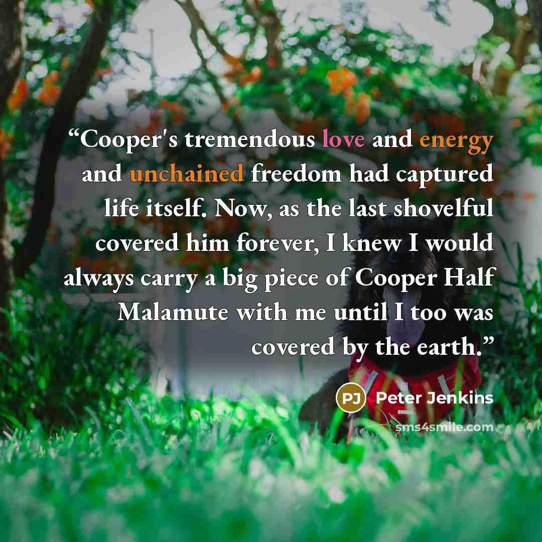 “Cooper's tremendous love and energy and unchained freedom had captured life itself. Now, as the last shovelful covered him forever, I knew I would always carry a big piece of Cooper Half Malamute with me until I too was covered by the earth.” quote by Peter Jenkins
