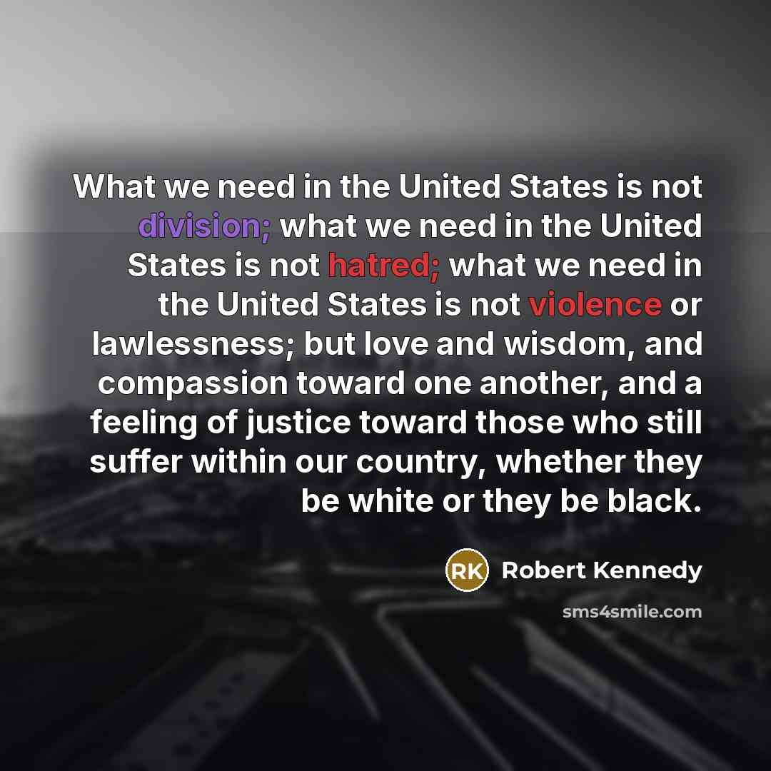 “What we need in the United States is not division;…” quote by Robert Kennedy