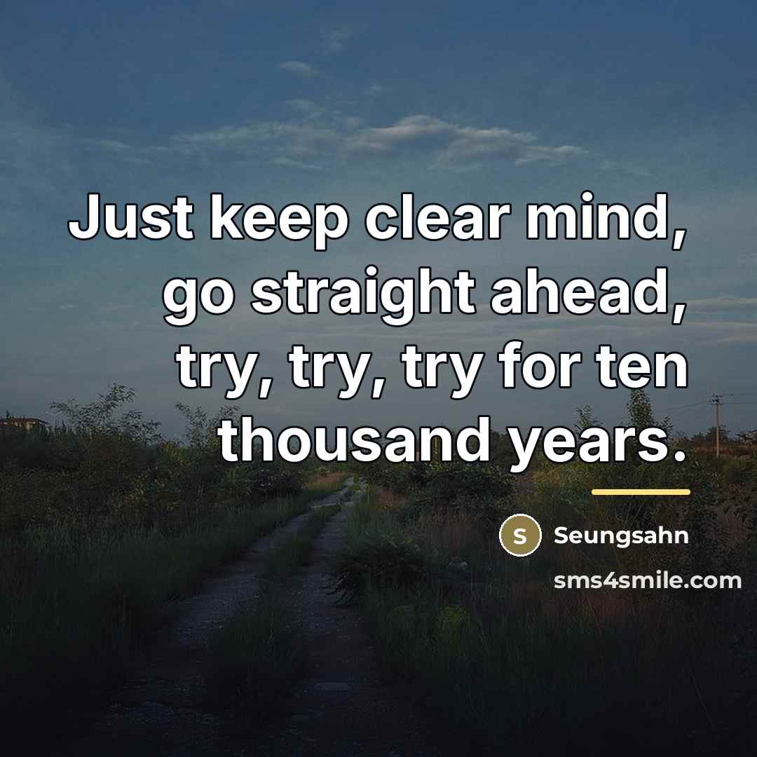 “Just keep clear mind, go straight ahead, try, try, try…” quote by Seungsahn