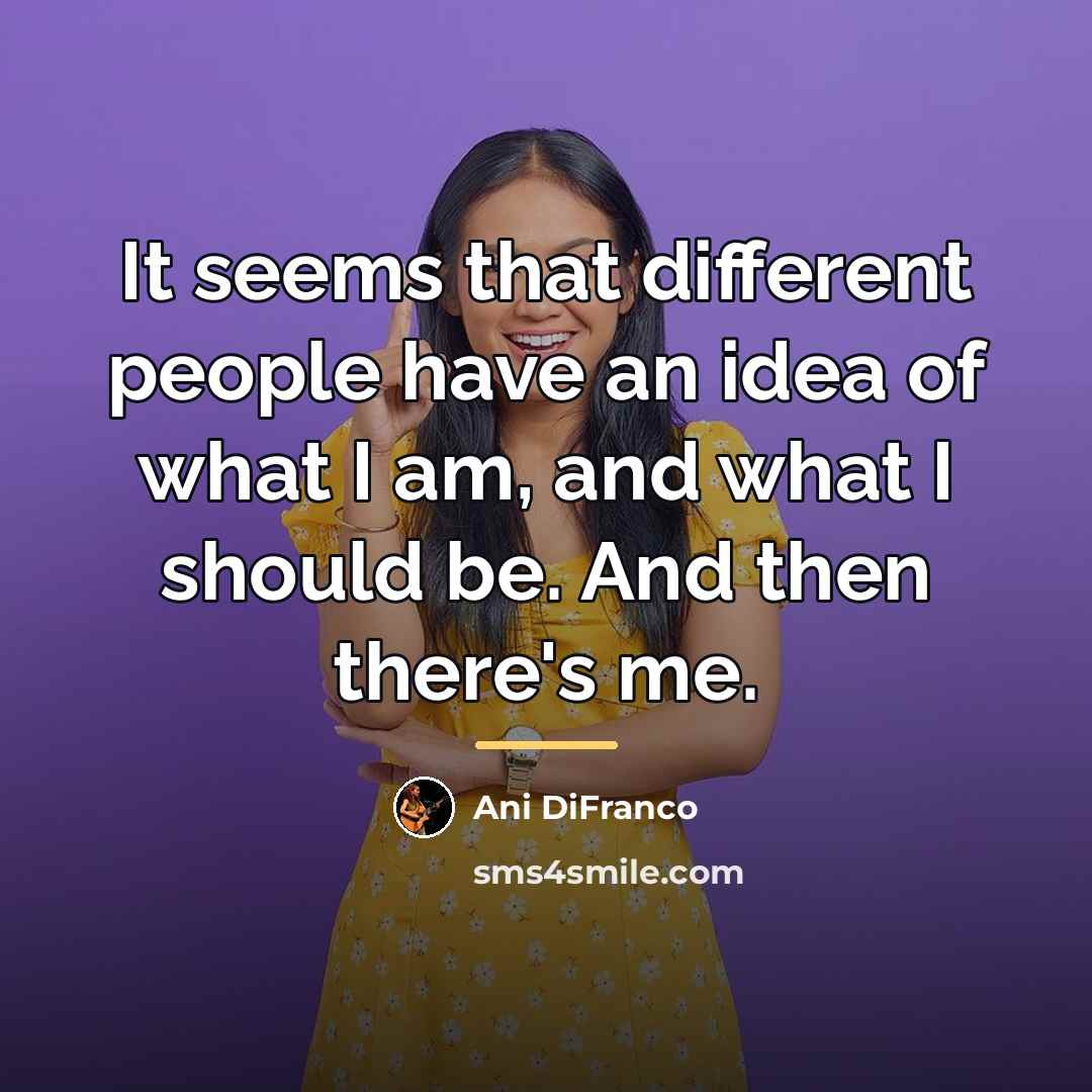 “It seems that different people have an idea of what…” quote by Ani DiFranco