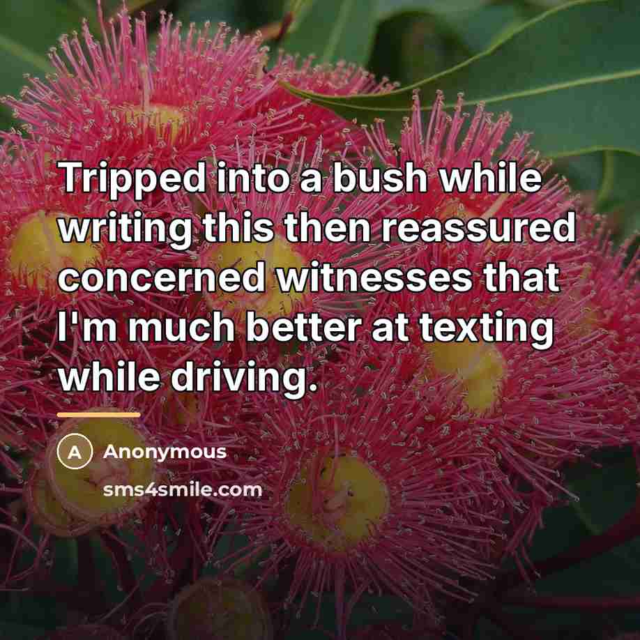 “Tripped into a bush while writing this then reassured concerned…” quote by Anonymous