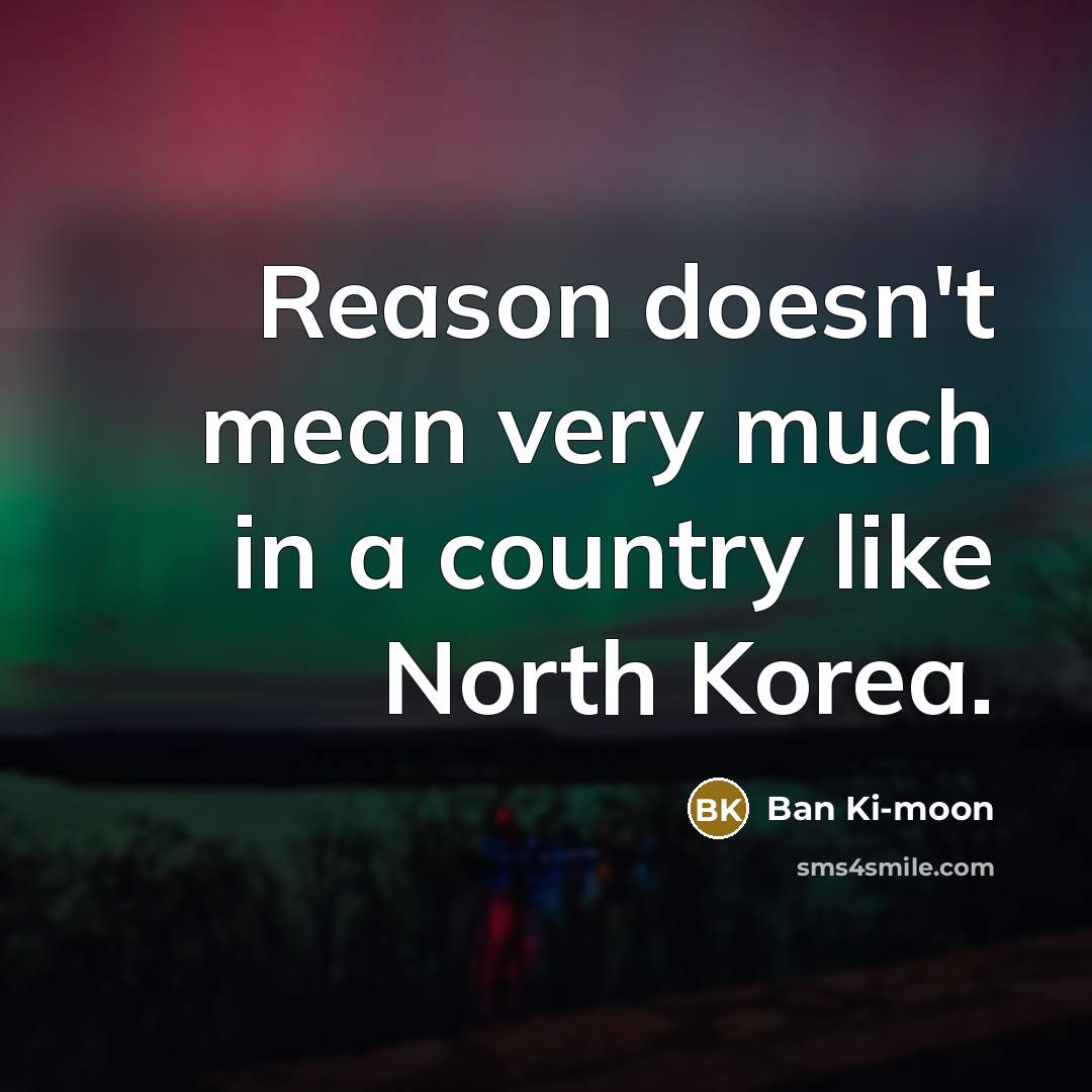 “Reason doesn't mean very much in a country like North…” quote by Ban Ki-moon