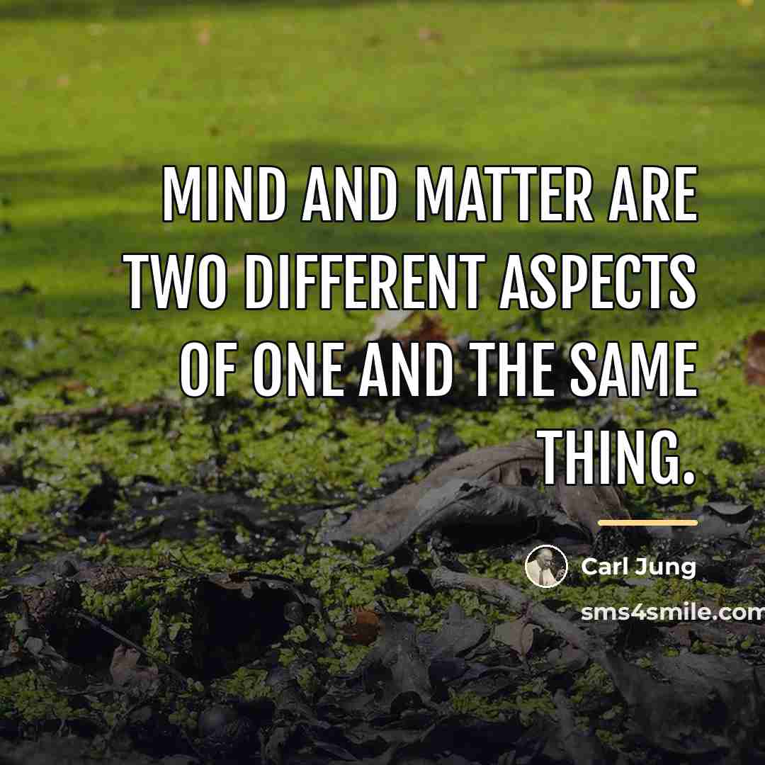 “Mind and matter are two different aspects of one and…” quote by Carl Jung