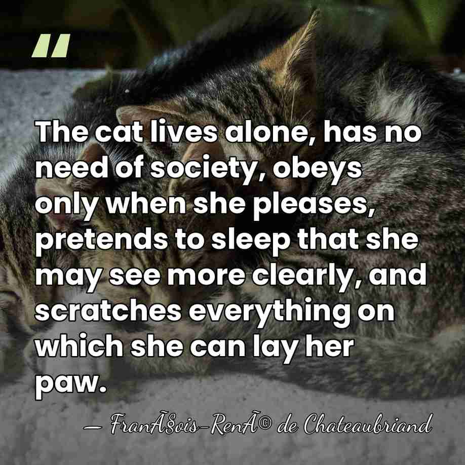 The cat lives alone, has no need of society, obeys only when&hellip; - FranÃ§ois-RenÃ© de Chateaubriand