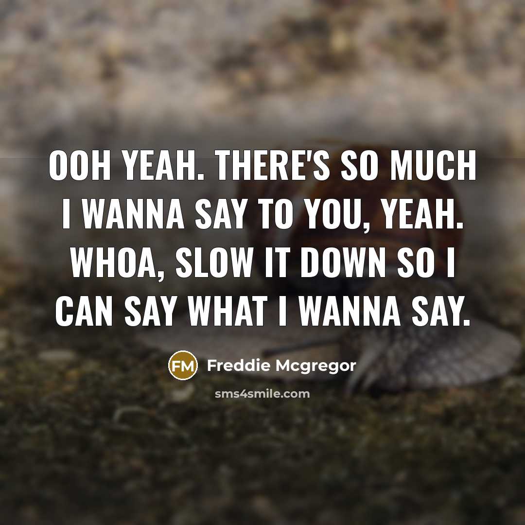 “Ooh yeah. There's so much I wanna say to you, yeah. Whoa, slow it down so I can say what I wanna say.” quote by Freddie Mcgregor