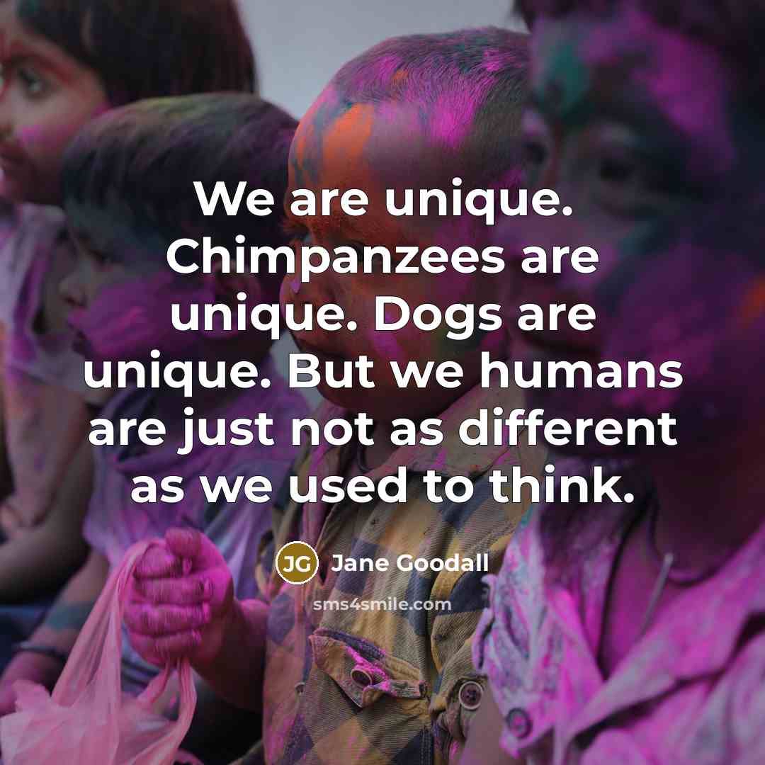 “We are unique. Chimpanzees are unique. Dogs are unique. But…” quote by Jane Goodall