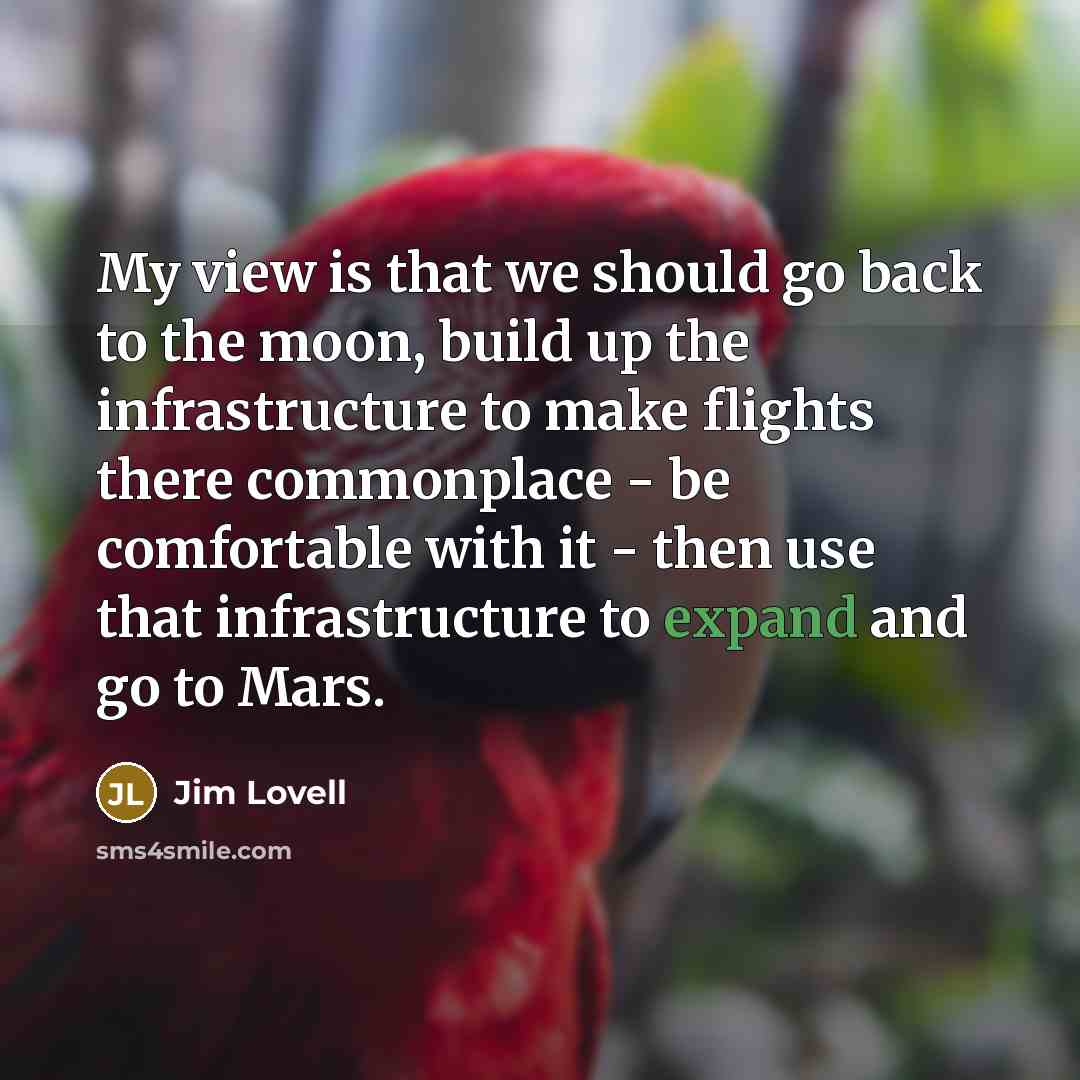 “My view is that we should go back to the…” quote by Jim Lovell