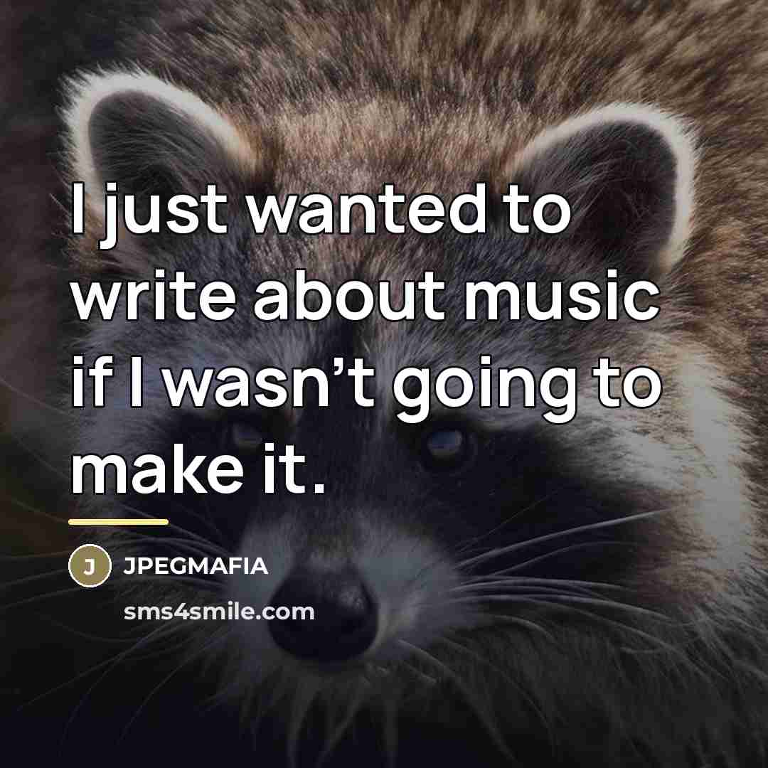 “I just wanted to write about music if I wasn't…” quote by JPEGMAFIA