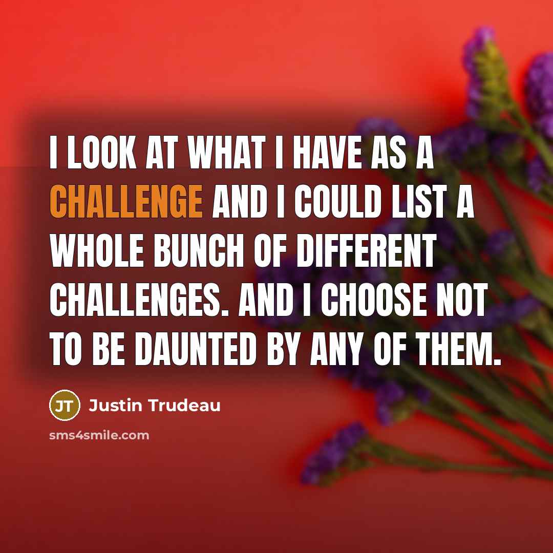 “I look at what I have as a challenge and…” quote by Justin Trudeau