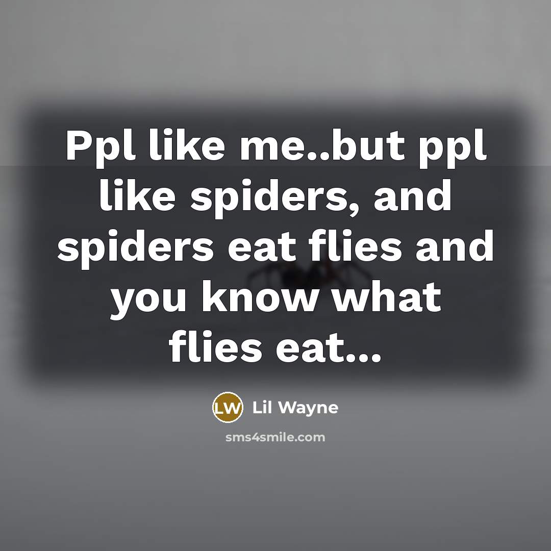 “Ppl like me..but ppl like spiders, and spiders eat flies…” quote by LiL Wayne