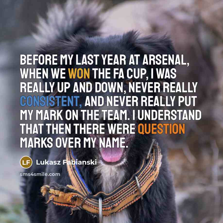 “Before my last year at Arsenal, when we won the FA Cup, I was really up and down, never really consistent, and never really put my mark on the team. I understand that then there were question marks over my name.” quote by Lukasz Fabianski