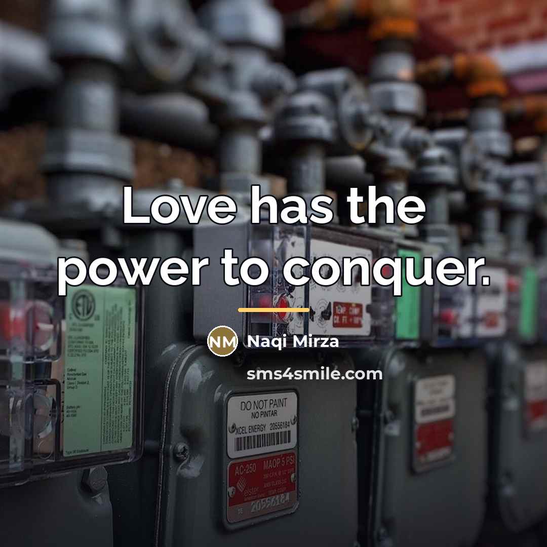 “Love has the power to conquer.…” quote by Naqi Mirza