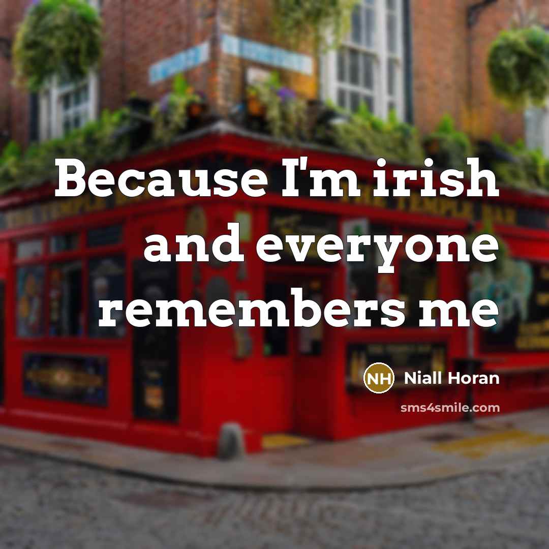 “Because I'm irish and everyone remembers me” quote by Niall Horan