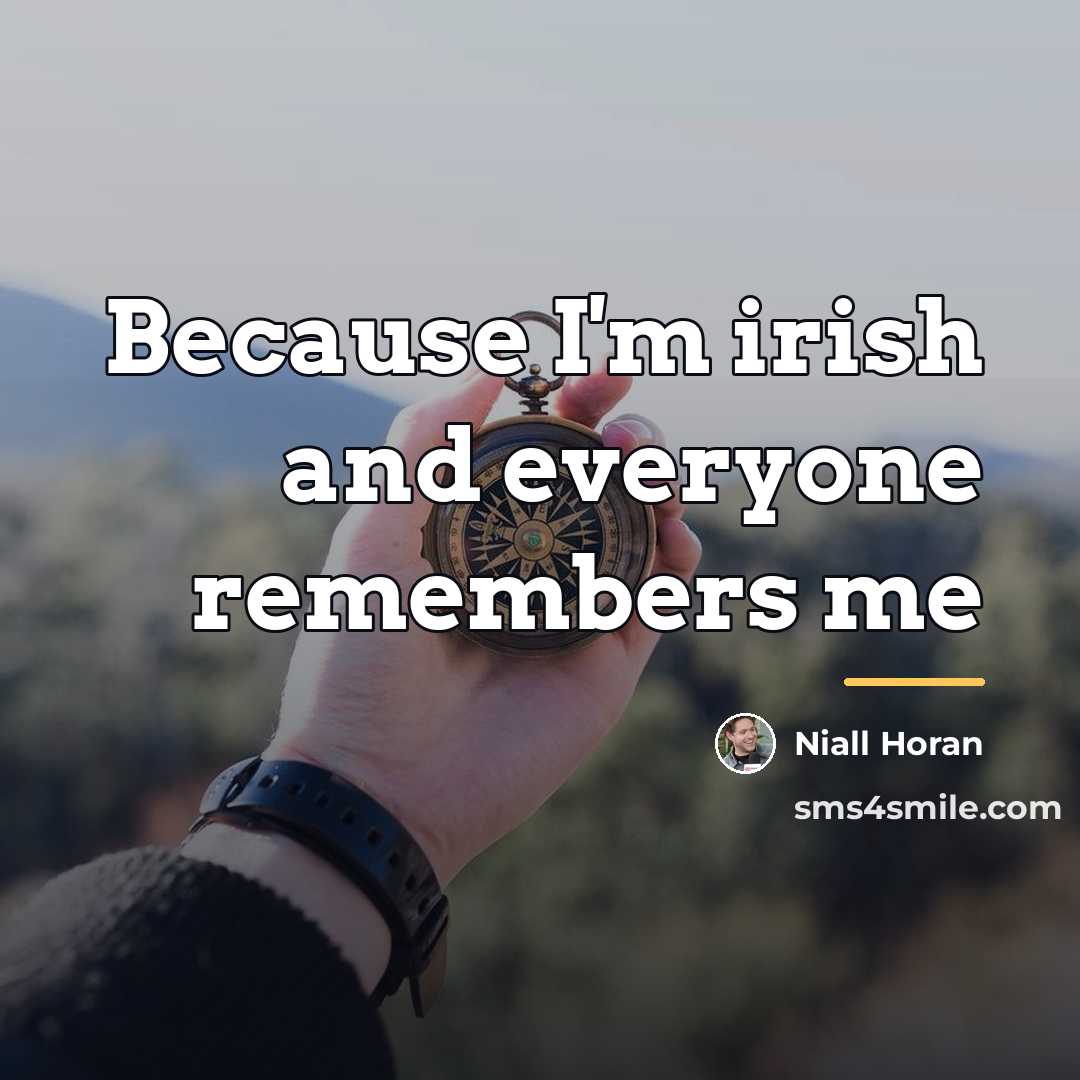“Because I'm irish and everyone remembers me…” quote by Niall Horan
