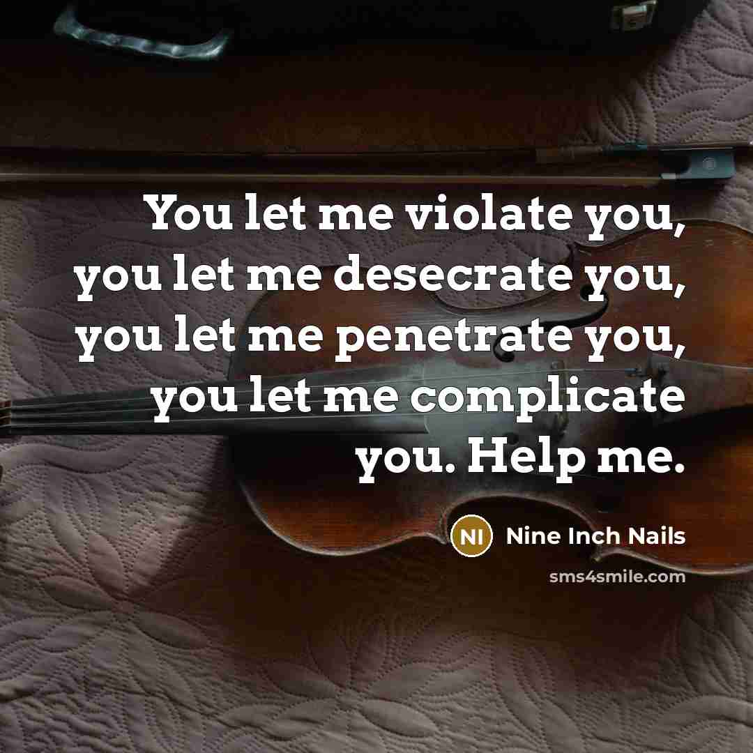 “You let me violate you, you let me desecrate you,…” quote by Nine Inch Nails