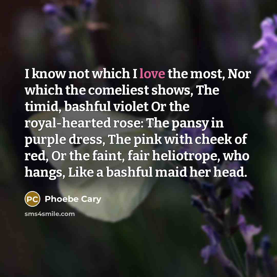 “I know not which I love the most, Nor which…” quote by Phoebe Cary