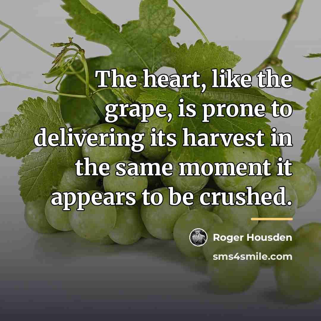 “The heart, like the grape, is prone to delivering its…” quote by Roger Housden