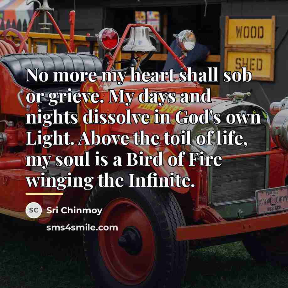 “No more my heart shall sob or grieve. My days…” quote by Sri Chinmoy