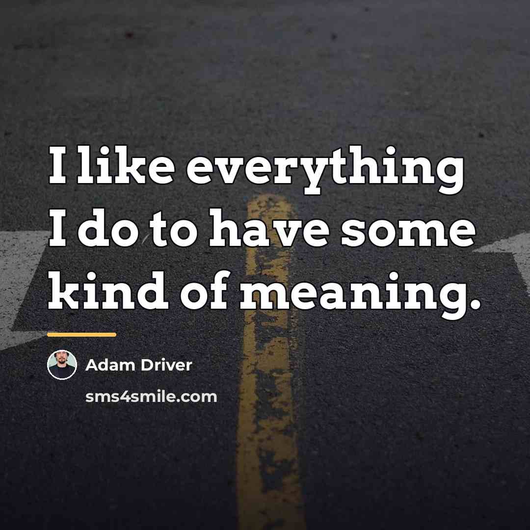 “I like everything I do to have some kind of…” quote by Adam Driver