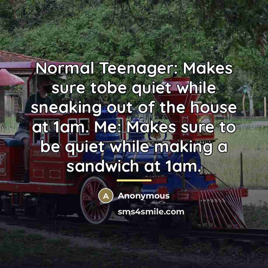 “Normal Teenager: Makes sure tobe quiet while sneaking out of…” quote by Anonymous