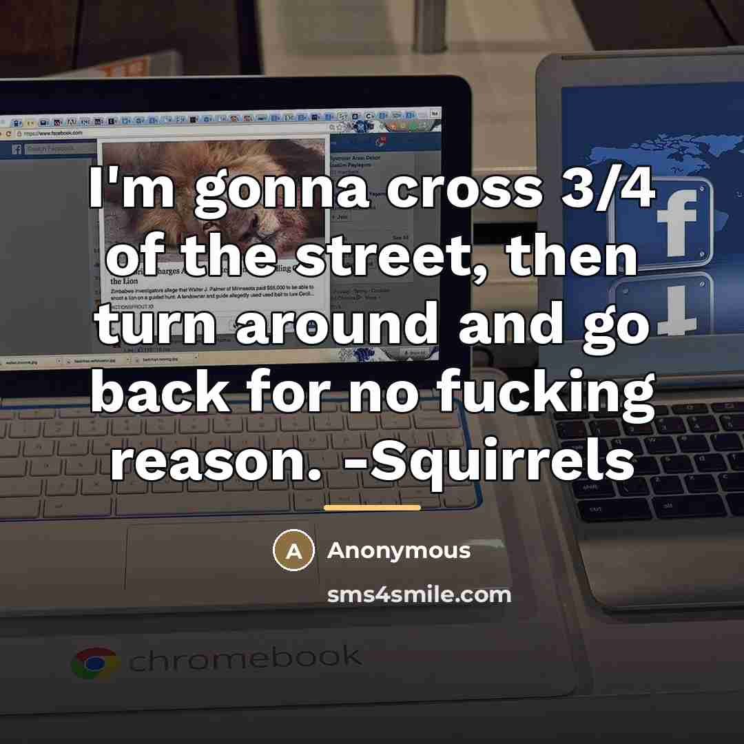 “I'm gonna cross 3/4 of the street, then turn around…” quote by Anonymous