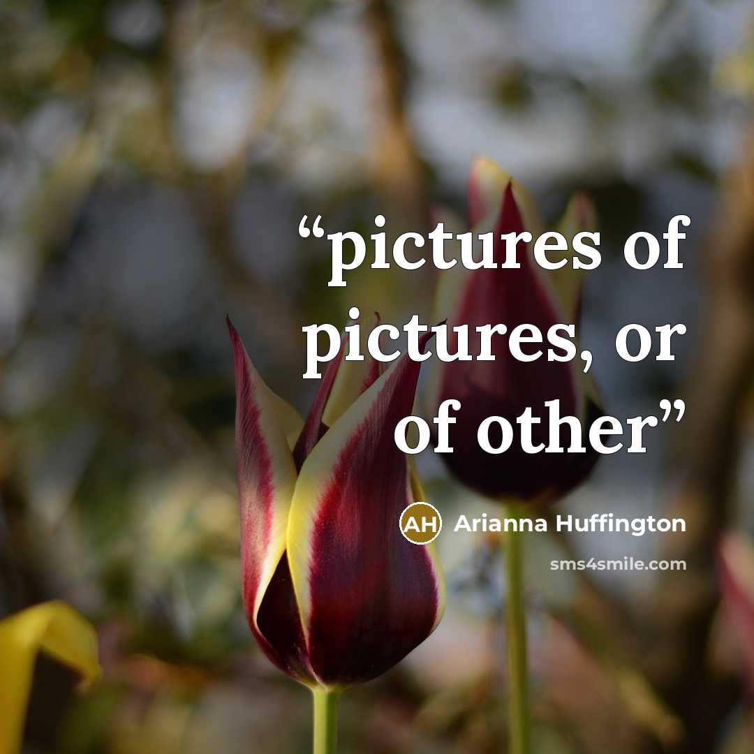 “pictures of pictures, or of other” quote by Arianna Huffington