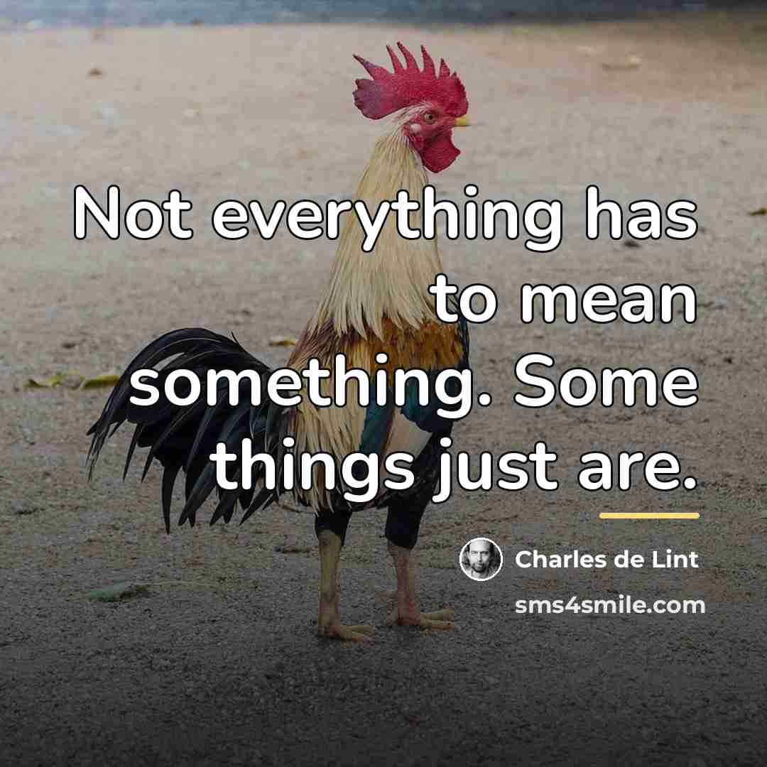 “Not everything has to mean something. Some things just are.…” quote by Charles de Lint