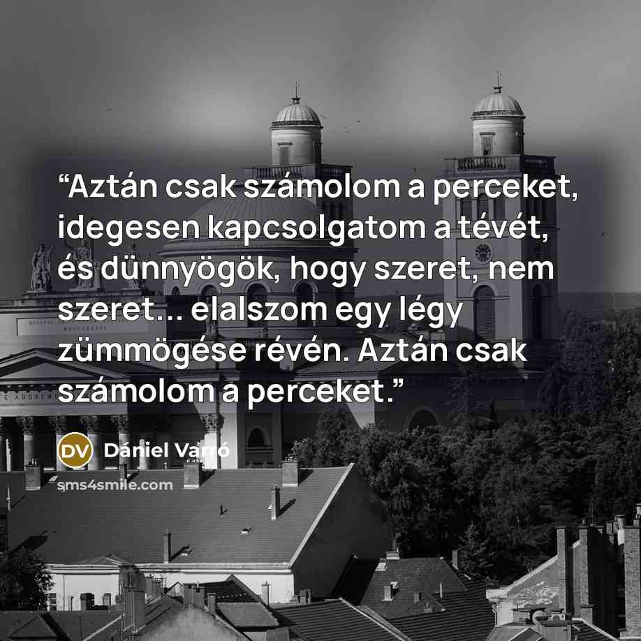 “Aztán csak számolom a perceket, idegesen kapcsolgatom a tévét, és dünnyögök, hogy szeret, nem szeret... elalszom egy légy zümmögése révén. Aztán csak számolom a perceket.” quote by Dániel Varró