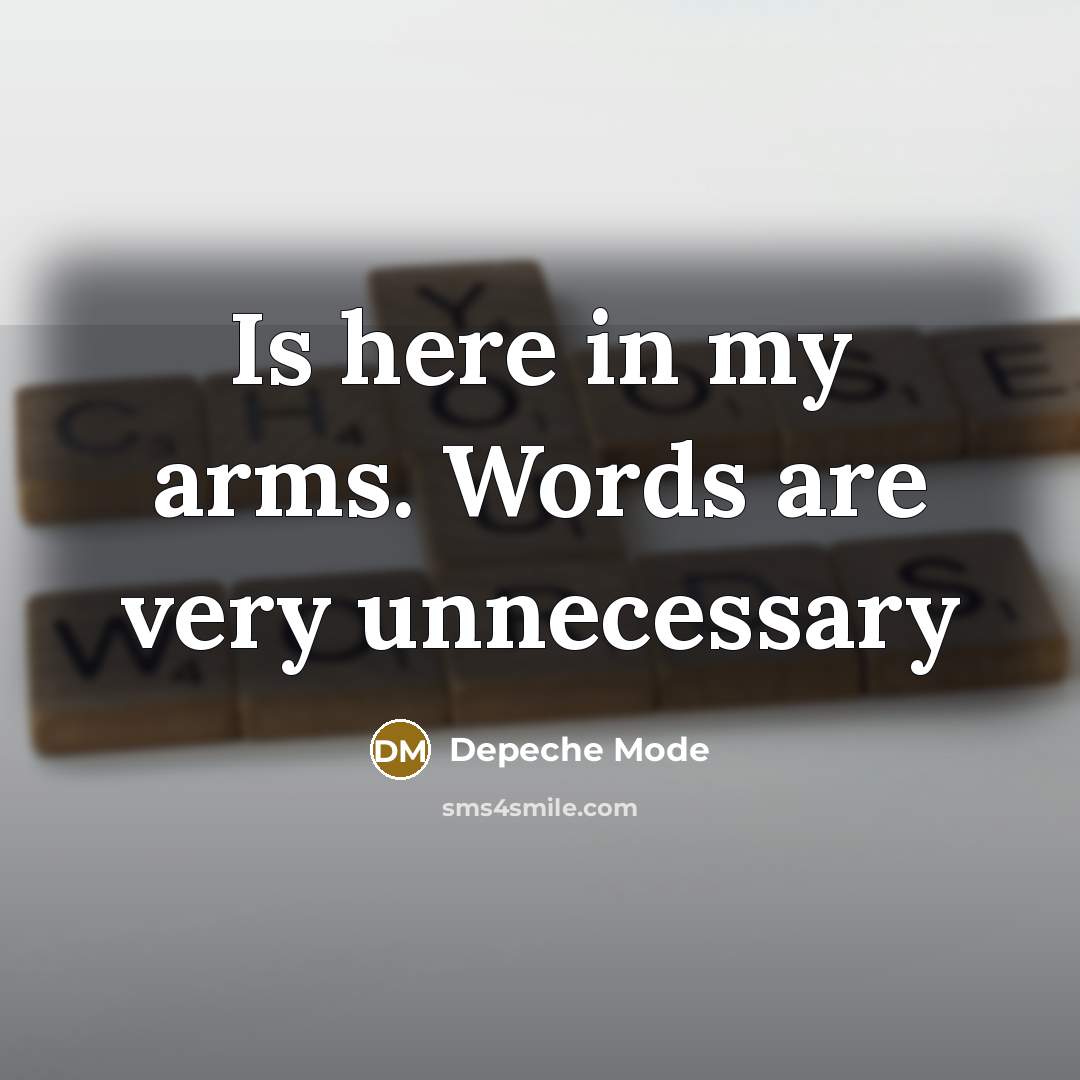 “Is here in my arms. Words are very unnecessary…” quote by Depeche Mode