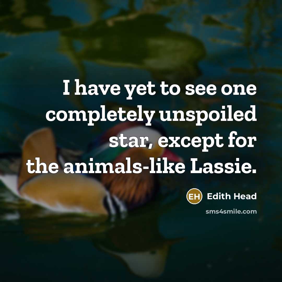 “I have yet to see one completely unspoiled star, except…” quote by Edith Head