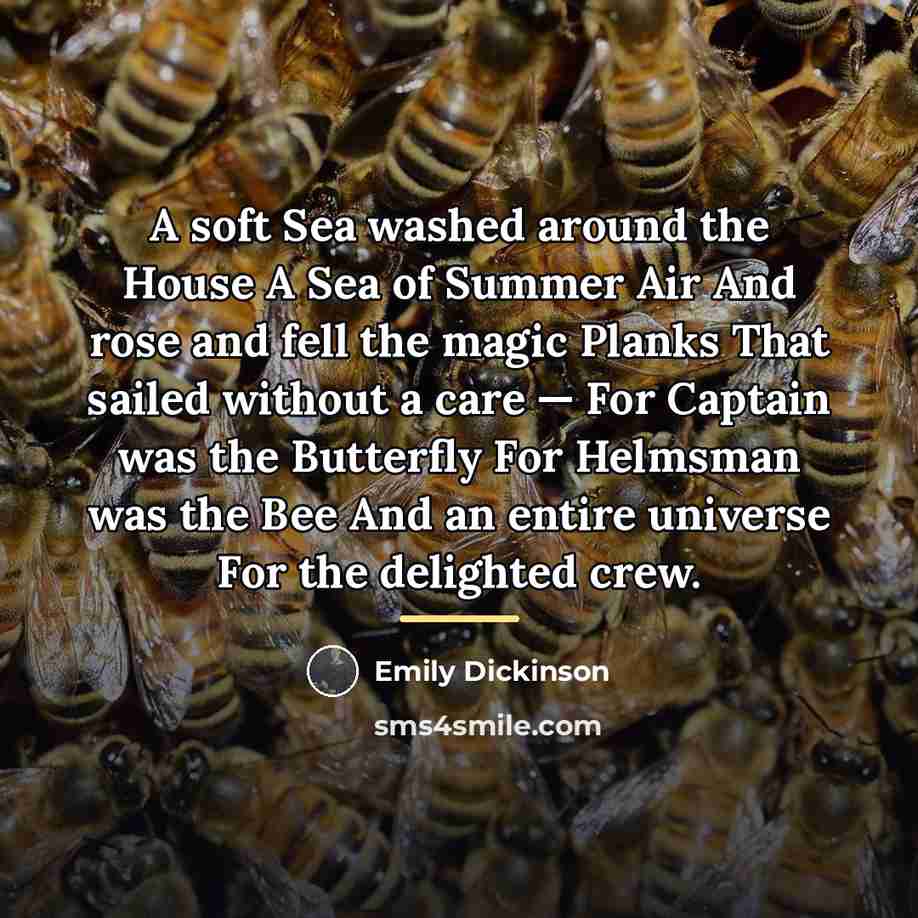 “A soft Sea washed around the House A Sea of…” quote by Emily Dickinson