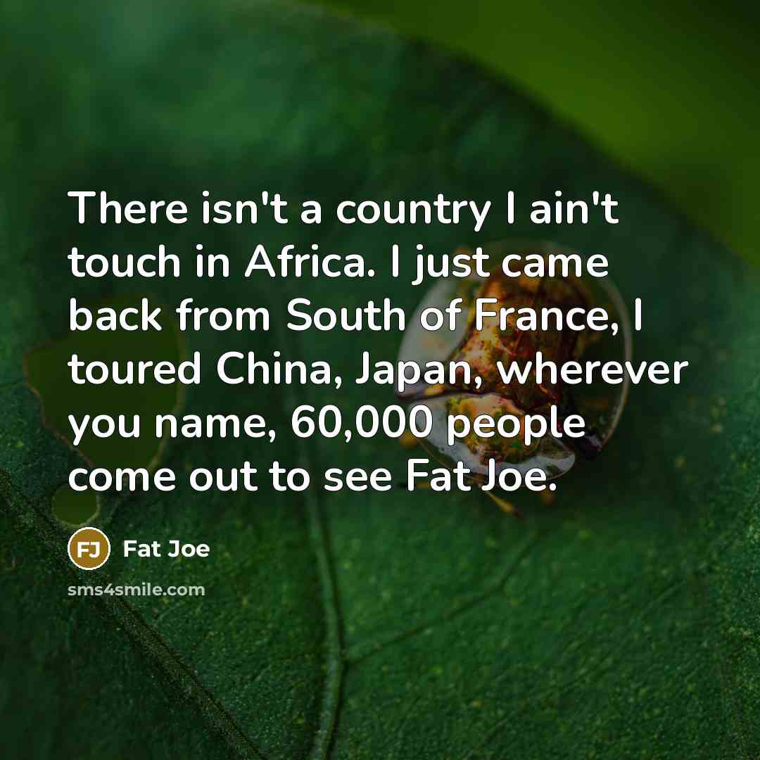 “There isn't a country I ain't touch in Africa. I…” quote by Fat Joe