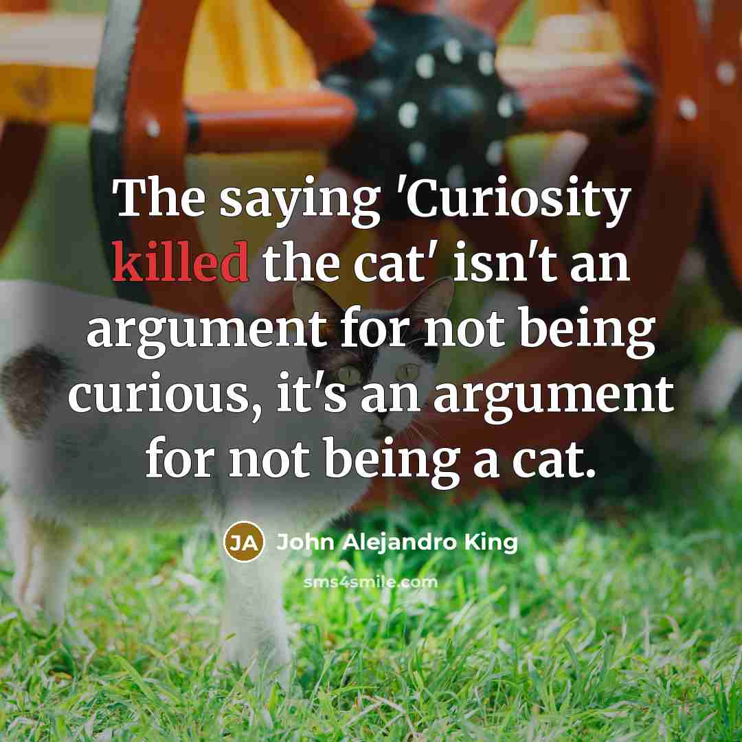 “The saying 'Curiosity killed the cat' isn't an argument for…” quote by John Alejandro King