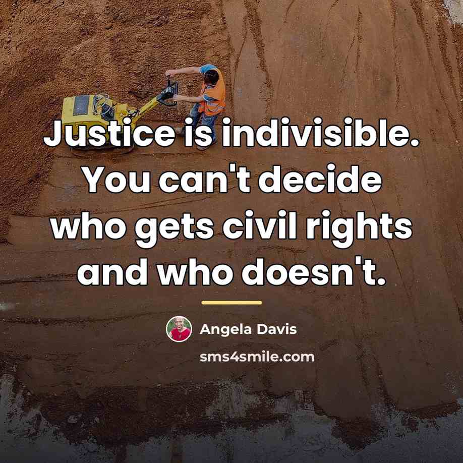 “Justice is indivisible. You can't decide who gets civil rights…” quote by Angela Davis
