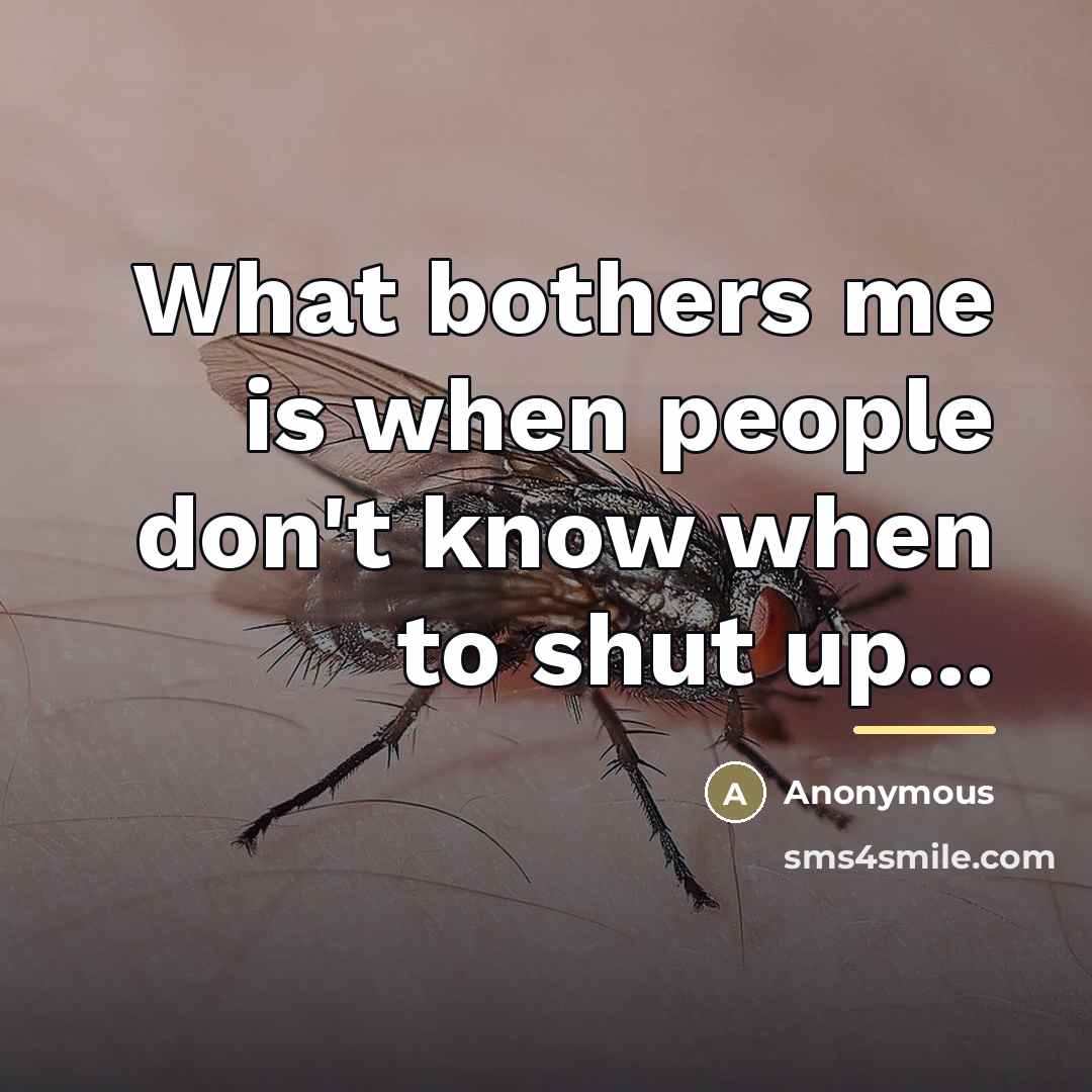 “What bothers me is when people don't know when to…” quote by Anonymous
