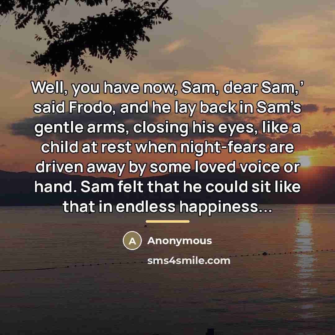 “Well, you have now, Sam, dear Sam,’ said Frodo, and…” quote by Anonymous